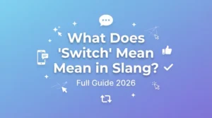 What Does "Switch" Mean in Slang?